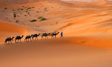 6 Days Tour from Marrakech to Fes and Casablanca Via Desert
